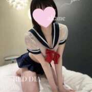 ヒメ日記 2024/12/29 12:15 投稿 あかね 神栖レッドダイヤ