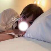 ヒメ日記 2024/12/31 04:44 投稿 あかね 神栖レッドダイヤ