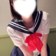 ヒメ日記 2024/12/31 19:07 投稿 あかね 神栖レッドダイヤ