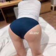 ヒメ日記 2025/01/04 16:17 投稿 あかね 神栖レッドダイヤ