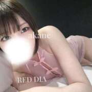 ヒメ日記 2025/04/03 21:43 投稿 あかね 神栖レッドダイヤ