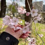 ヒメ日記 2025/04/09 20:16 投稿 アリサ ラブコレクション