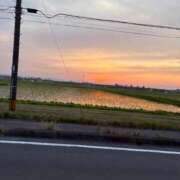 ヒメ日記 2025/06/07 17:16 投稿 アリサ ラブコレクション