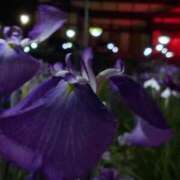 ヒメ日記 2025/07/18 15:31 投稿 アリサ ラブコレクション