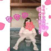 ヒメ日記 2025/07/21 08:04 投稿 ななみ 桃色奥様 松戸本店