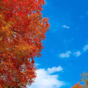 ヒメ日記 2025/08/08 09:03 投稿 ななみ 桃色奥様 松戸本店