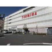 ヒメ日記 2025/11/27 11:45 投稿 ななみ 桃色奥様 松戸本店