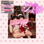 ヒメ日記 2025/11/28 12:21 投稿 ななみ 桃色奥様 松戸本店