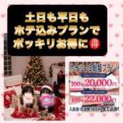 ヒメ日記 2025/12/24 10:03 投稿 ななみ 桃色奥様 松戸本店