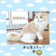 ヒメ日記 2026/02/10 11:56 投稿 ななみ 桃色奥様 松戸本店