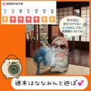 ヒメ日記 2026/07/18 07:48 投稿 ななみ 桃色奥様 松戸本店