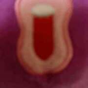 ヒメ日記 2025/03/16 14:03 投稿 ゆい★惹きつける魅力 五十路有閑マダム～沖縄店～