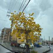 ヒメ日記 2025/04/25 20:57 投稿 ゆい★惹きつける魅力 五十路有閑マダム～沖縄店～