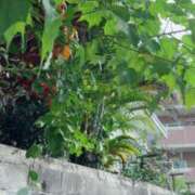 ヒメ日記 2025/10/26 08:33 投稿 ゆい★惹きつける魅力 五十路有閑マダム～沖縄店～