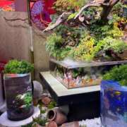 ヒメ日記 2025/11/25 15:03 投稿 ゆい★惹きつける魅力 五十路有閑マダム～沖縄店～