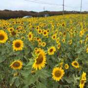 ヒメ日記 2026/03/21 11:27 投稿 ゆい★惹きつける魅力 五十路有閑マダム～沖縄店～