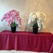 ヒメ日記 2025/01/23 21:07 投稿 松浦 奈緒美 30代40代50代と遊ぶなら博多人妻専科24時