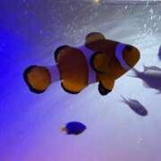 ヒメ日記 2025/03/19 22:14 投稿 松浦 奈緒美 30代40代50代と遊ぶなら博多人妻専科24時