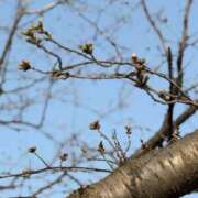 ヒメ日記 2025/03/24 18:45 投稿 松浦 奈緒美 30代40代50代と遊ぶなら博多人妻専科24時