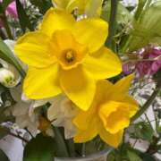 ヒメ日記 2025/03/26 07:31 投稿 松浦 奈緒美 30代40代50代と遊ぶなら博多人妻専科24時