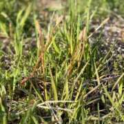 ヒメ日記 2025/03/26 17:05 投稿 松浦 奈緒美 30代40代50代と遊ぶなら博多人妻専科24時