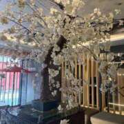 ヒメ日記 2025/04/19 22:01 投稿 松浦 奈緒美 30代40代50代と遊ぶなら博多人妻専科24時