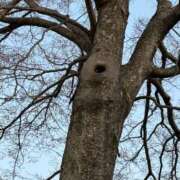 ヒメ日記 2025/04/30 11:06 投稿 松浦 奈緒美 30代40代50代と遊ぶなら博多人妻専科24時