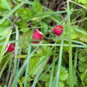 ヒメ日記 2025/05/12 21:44 投稿 松浦 奈緒美 30代40代50代と遊ぶなら博多人妻専科24時