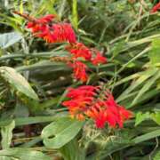 ヒメ日記 2025/07/04 07:35 投稿 松浦 奈緒美 30代40代50代と遊ぶなら博多人妻専科24時