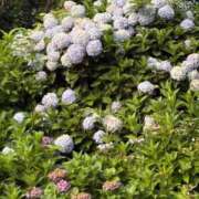 ヒメ日記 2025/07/06 10:10 投稿 松浦 奈緒美 30代40代50代と遊ぶなら博多人妻専科24時