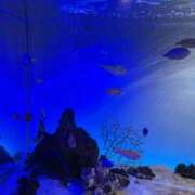 ヒメ日記 2025/07/09 21:08 投稿 松浦 奈緒美 30代40代50代と遊ぶなら博多人妻専科24時