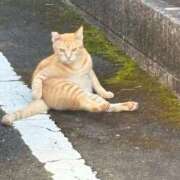 ヒメ日記 2025/07/19 09:34 投稿 松浦 奈緒美 30代40代50代と遊ぶなら博多人妻専科24時