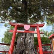 ヒメ日記 2025/07/19 15:47 投稿 松浦 奈緒美 30代40代50代と遊ぶなら博多人妻専科24時