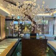 ヒメ日記 2025/07/31 21:18 投稿 松浦 奈緒美 30代40代50代と遊ぶなら博多人妻専科24時