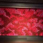 ヒメ日記 2025/08/20 22:25 投稿 松浦 奈緒美 30代40代50代と遊ぶなら博多人妻専科24時