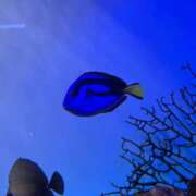 ヒメ日記 2025/08/27 23:12 投稿 松浦 奈緒美 30代40代50代と遊ぶなら博多人妻専科24時