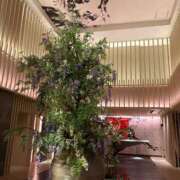 ヒメ日記 2025/09/12 21:48 投稿 松浦 奈緒美 30代40代50代と遊ぶなら博多人妻専科24時