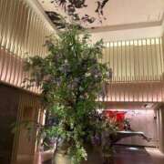 ヒメ日記 2025/09/20 23:46 投稿 松浦 奈緒美 30代40代50代と遊ぶなら博多人妻専科24時