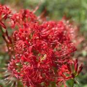 ヒメ日記 2025/09/22 20:01 投稿 松浦 奈緒美 30代40代50代と遊ぶなら博多人妻専科24時