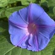 ヒメ日記 2025/10/05 08:53 投稿 松浦 奈緒美 30代40代50代と遊ぶなら博多人妻専科24時