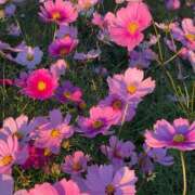 ヒメ日記 2025/10/17 10:32 投稿 松浦 奈緒美 30代40代50代と遊ぶなら博多人妻専科24時