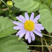 ヒメ日記 2025/10/22 07:15 投稿 松浦 奈緒美 30代40代50代と遊ぶなら博多人妻専科24時