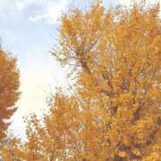 ヒメ日記 2025/12/05 07:34 投稿 松浦 奈緒美 30代40代50代と遊ぶなら博多人妻専科24時