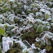 松浦 奈緒美 真っ白 30代40代50代と遊ぶなら博多人妻専科24時