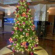 ヒメ日記 2025/12/24 21:40 投稿 松浦 奈緒美 30代40代50代と遊ぶなら博多人妻専科24時