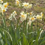 ヒメ日記 2026/02/01 22:13 投稿 松浦 奈緒美 30代40代50代と遊ぶなら博多人妻専科24時