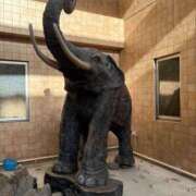 ヒメ日記 2026/02/18 12:29 投稿 松浦 奈緒美 30代40代50代と遊ぶなら博多人妻専科24時