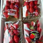 ヒメ日記 2026/03/06 14:07 投稿 松浦 奈緒美 30代40代50代と遊ぶなら博多人妻専科24時