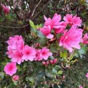 松浦 奈緒美 ひとりごと 30代40代50代と遊ぶなら博多人妻専科24時