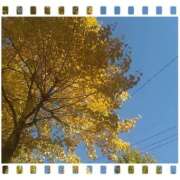 ヒメ日記 2025/11/29 09:52 投稿 神楽 舞衣 30代40代50代と遊ぶなら博多人妻専科24時